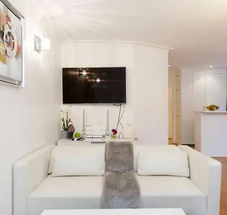 Luxury Arch Of Triumph And Champs Elysees Flat Paris